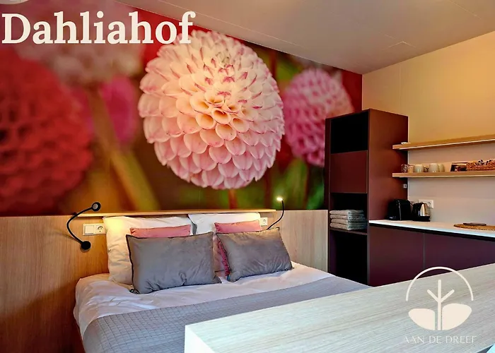 Oda ve Kahvaltı Aan De Dreef 3*