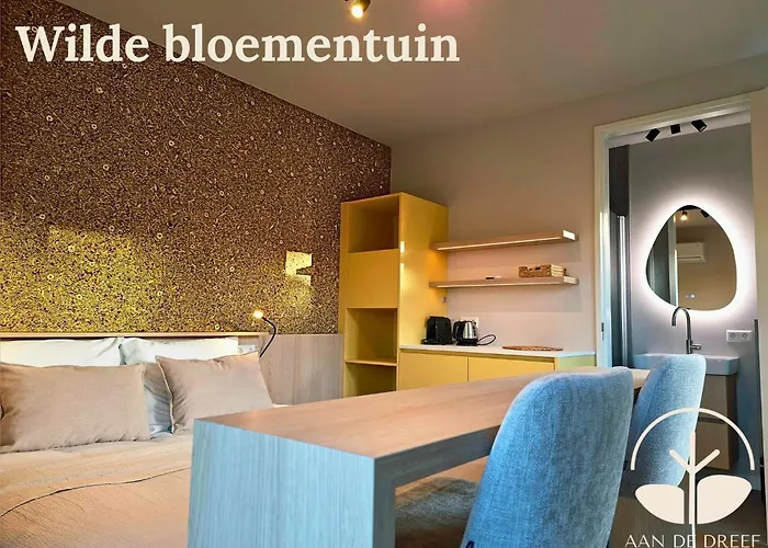 Oda ve Kahvaltı Aan De Dreef 3*