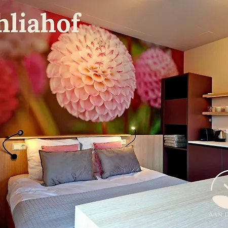 Bed and Breakfast Aan De Dreef 3*