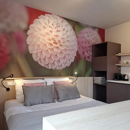 Bed and Breakfast Aan De Dreef Zundert